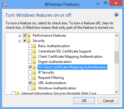 Screenshot of the I I S Client Certificate Mapping Authentication folder being selected and highlighted.