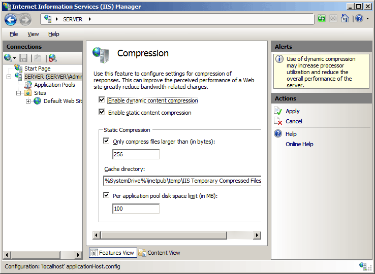 Screenshot of the server's Compression pane with dynamic content compression and static content compression enabled.