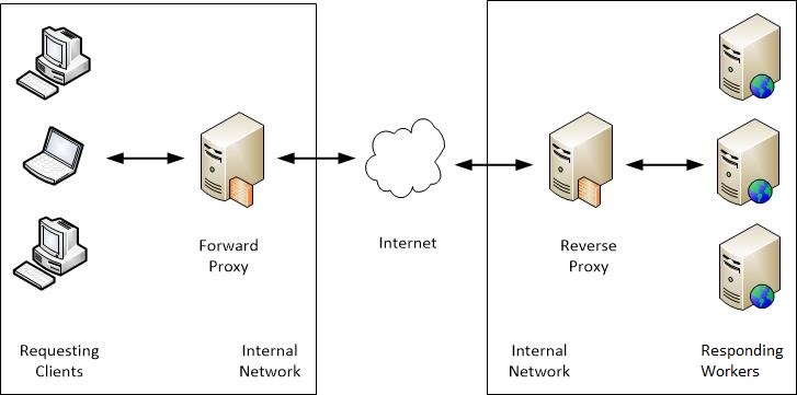 Forward and Reverse Proxies