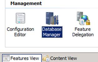 Screenshot showing the Database Manager icon.