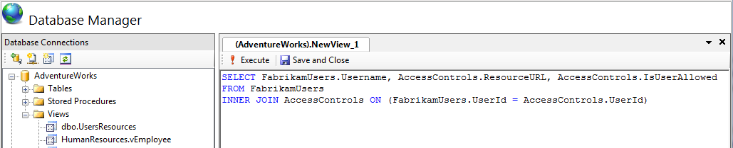 Screenshot of the Database Manager. The Database Connections node is expanded. The Adventure Works New View pane is shown.