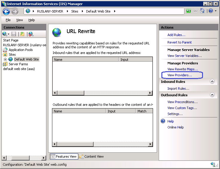 Screenshot of the I I S Manager with a focus on the View Providers option in the Manage Providers section of the Actions pane.
