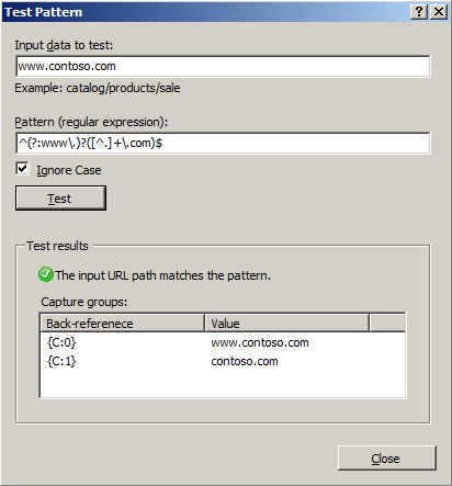 Screenshot of the Test Pattern dialog box. The Input data to test box and the Pattern box are shown.