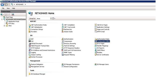 Screenshot of the I I S Manager window. The server home features is in the main pane.