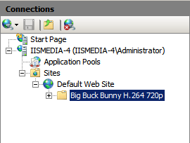 Screenshot of Connections pane showing directory with sample content.