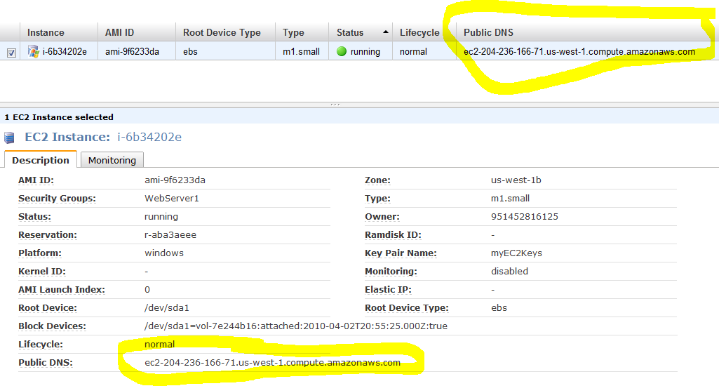 Screenshot that shows the Public DNS address highlighted for the Dot Net Nuke instance.