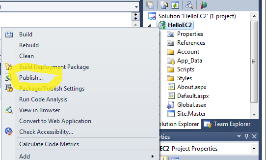 Screenshot that shows the context menu for the project. The list shows Publish and it is highlighted.