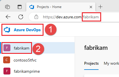 Screenshot of choosing your Azure DevOps organization.