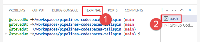 Screenshot of terminal window in Visual Studio Code online editor. 