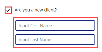 Screenshot of a checkbox asking "Are you a new client?" checked with input fields for first and last name showing.