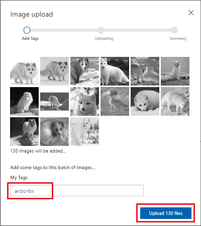 Screenshot that shows the tag setting and the images ready to upload.