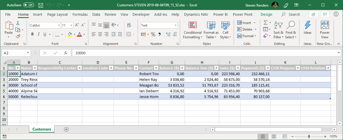 Screenshot of the generated Excel workbook open.