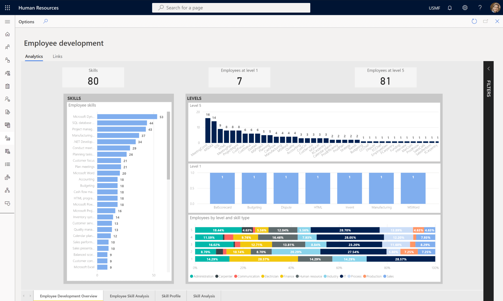 screenshot of employee development analytics