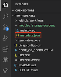 Screenshot of Visual Studio Code that shows the location of the metadata dot J S O N file.