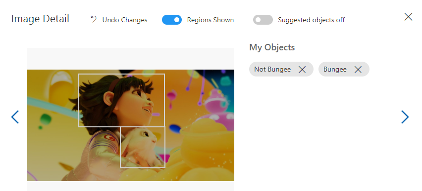 Screenshot that shows the tagging for objects in images that are not Bungee.