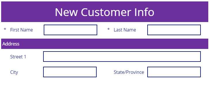 Screenshot of a different view of New Customer Info form.