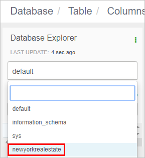 Database Explorer in the Data Analytics Studio application
