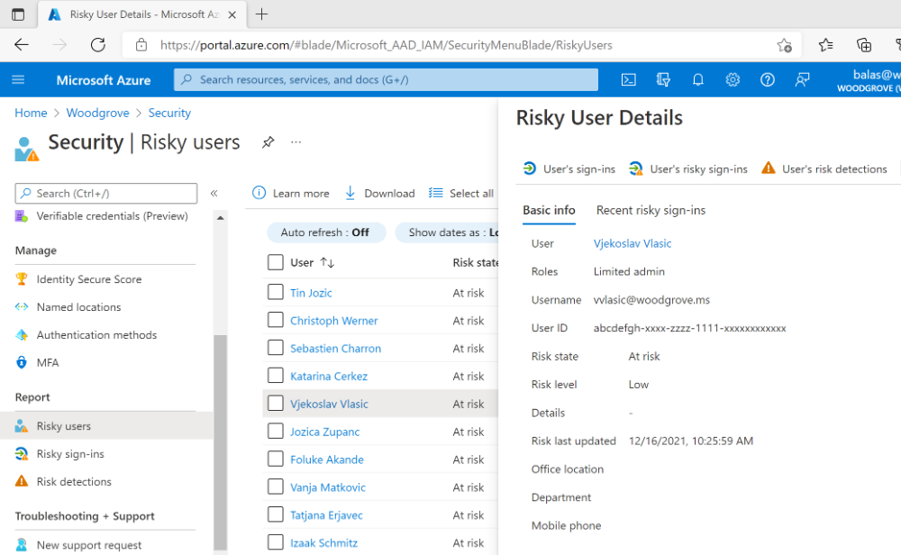 Screen capture showing details from a risky user report.