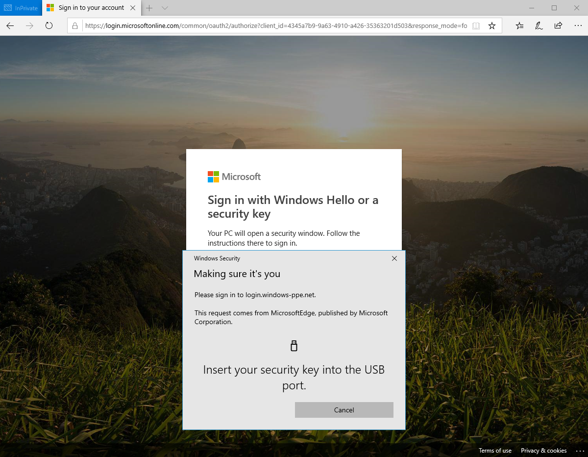 Screenshot of the security key sign-in for Microsoft Edge. Great multifactor verification process.