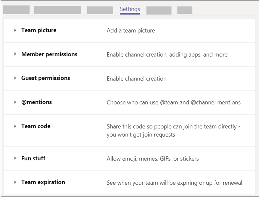 Team settings options including team picture, member permissions, guest permissions