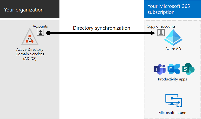 Use directory synchronization to keep on-premises and online user account information synchronized.