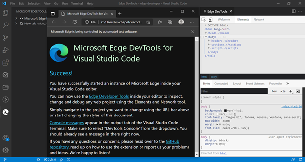 Microsoft Edge and DevTools panel open in Visual Studio Code.
