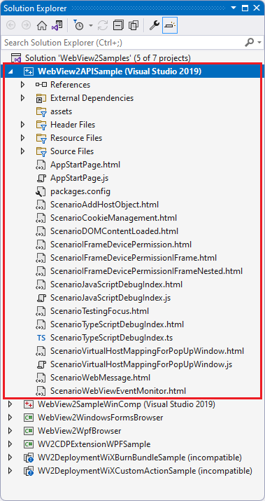 The WebView2APISample opened in Visual Studio in Solution Explorer.