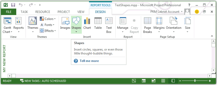 Creating a report in Project