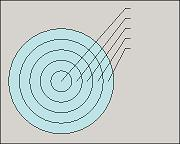 A diagram that has concentric rings: