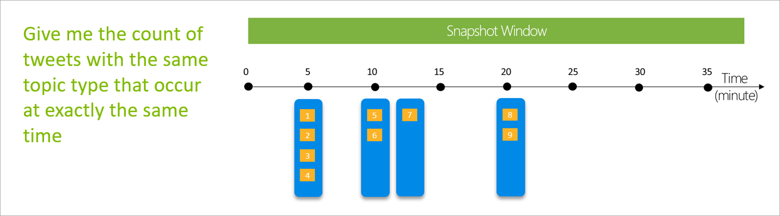 Diagram that shows a snapshot window.