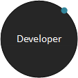 Developer environment