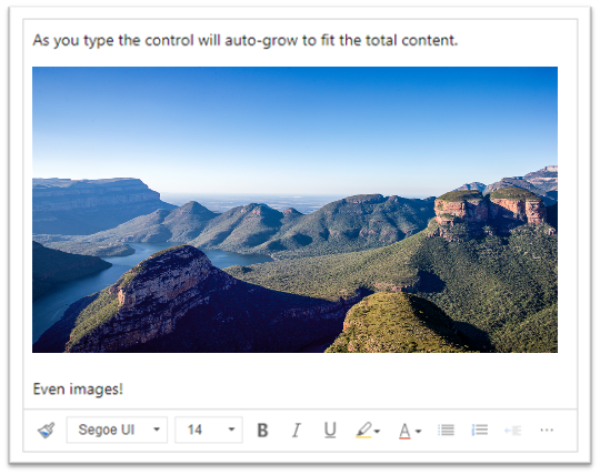 Screenshot that illustrates that typing into the rich text area or pasting an image increases it to fit the content.