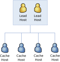 Cache cluster lead hosts
