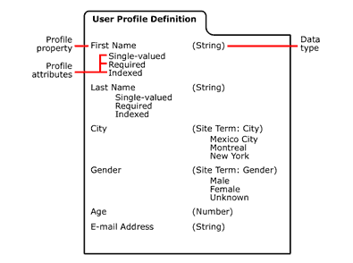 A figure showing parts of a profile definition 