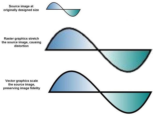 Differences between raster and vector graphics