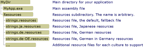 Main directory for your application