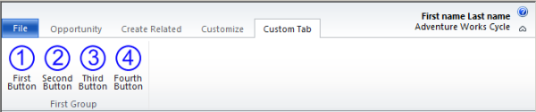 A custom tab for the Opportunity enity form