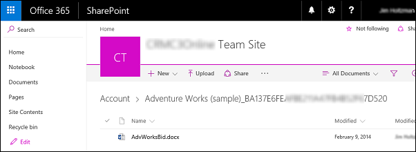Office 365 Team Site shared document