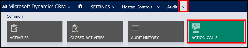 Add an action call for an audit action