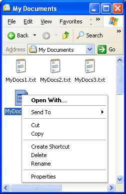 Default shortcut menu for file system objects