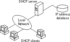 Figure 7.2: A Single Local Network Using Automatic TCP/IP Configuration with DHCP
