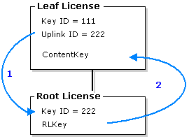 How a license chain is linked