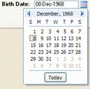 Click the DatePicker to select a date