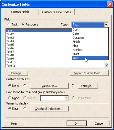 Project 2003 Customize Fields dialog box