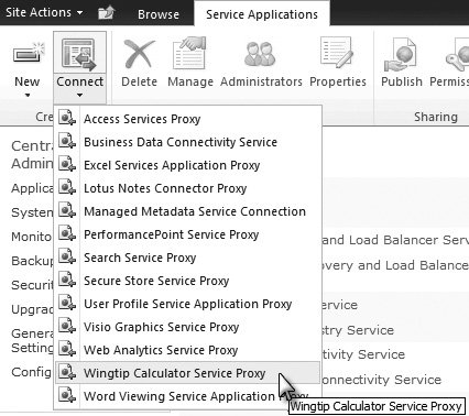 Wingtip service application proxy