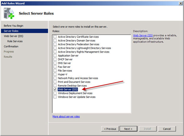 Select Web Server in Add Roles Wizard