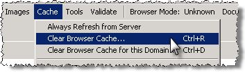 Clearing the IE cache and force file downloads
