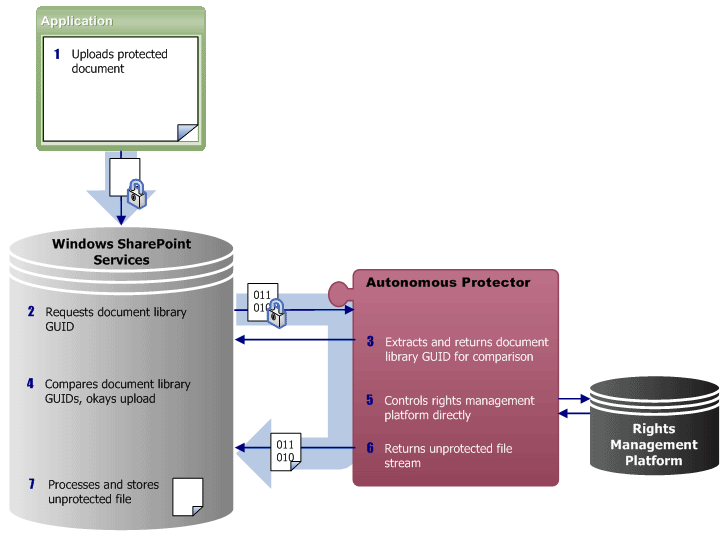 Steps of integrated IRM protector after check-in