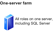 Single-server Deployment Model