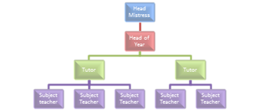 Diagram of the school's reporting structure